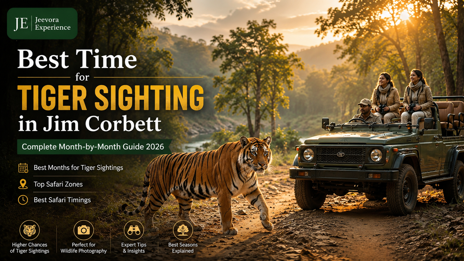 Royal Bengal Tiger during Jeep Safari in Jim Corbett National Park – Best Time for Tiger Sighting