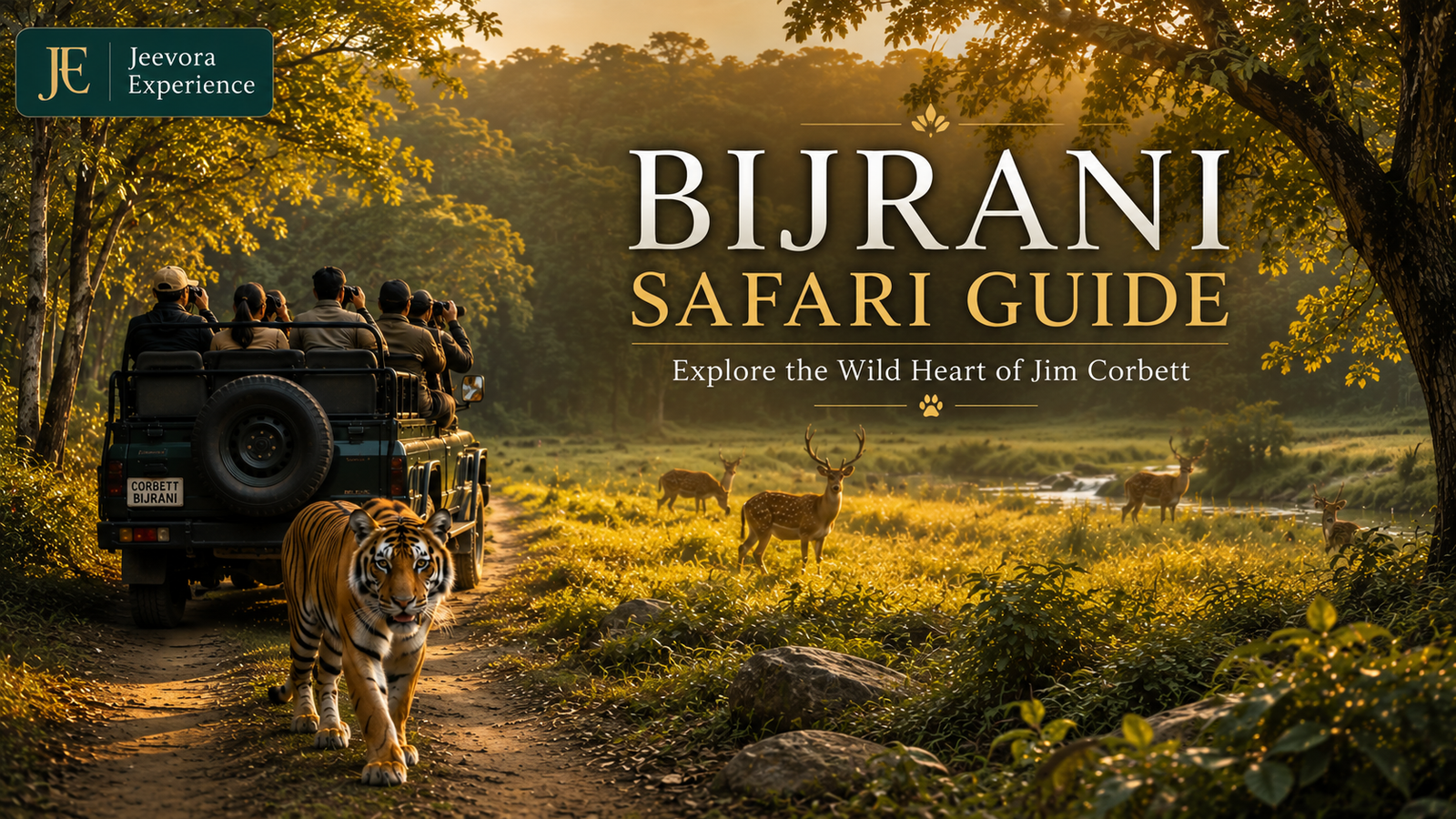 Bijrani Safari jeep exploring the Bijrani Safari Range in Jim Corbett National Park surrounded by Sal forest with wildlife during golden hour.
