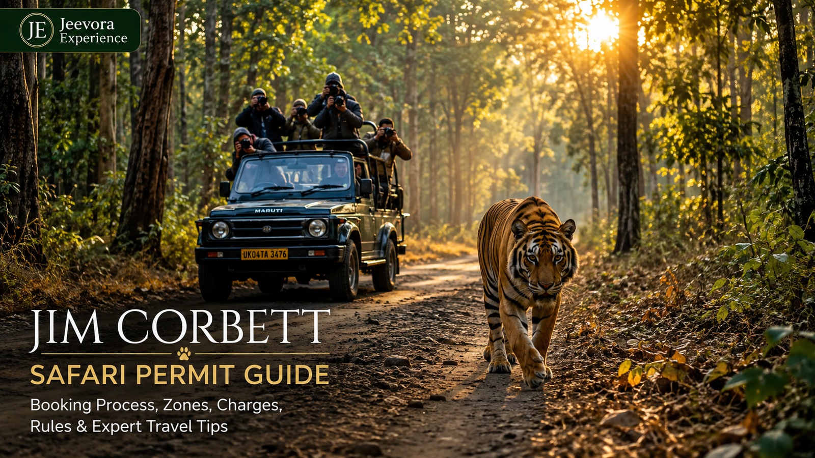 Safari jeep following a Royal Bengal Tiger on a forest trail during sunrise in Jim Corbett National Park, featured image for the Jim Corbett Safari Permit Guide by Jeevora Experience.