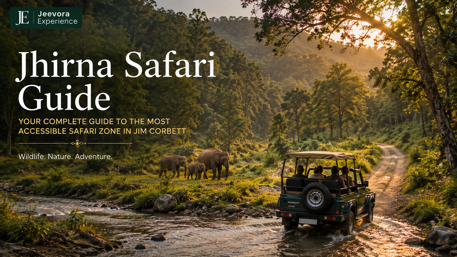 Jeep Safari at Jhirna Safari Zone in Jim Corbett National Park surrounded by dense sal forest and wildlife.