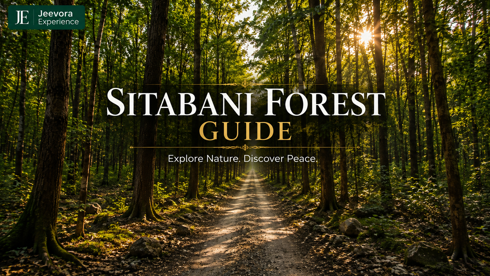 Sitabani Forest near Jim Corbett National Park with dense sal forest, nature trail, and wildlife habitat.