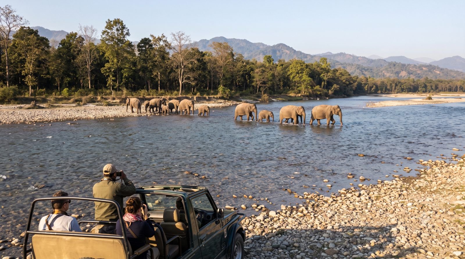 Elephant Crossing