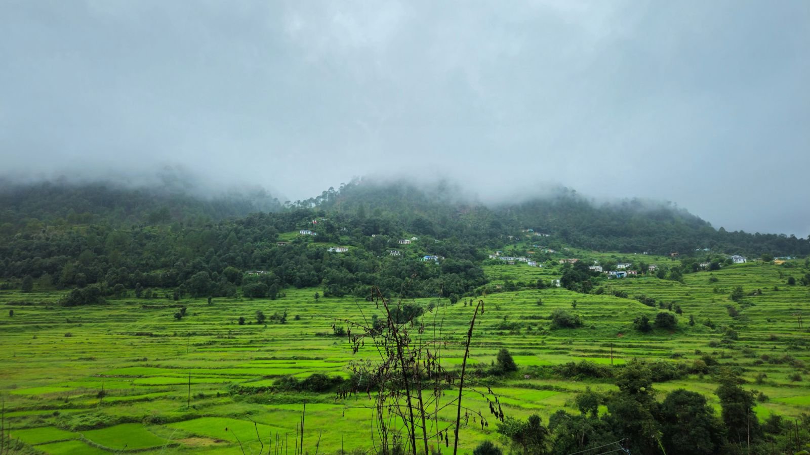 Luxury Mountain Resort in Mukteshwar with Himalayan Views Uttarakhand