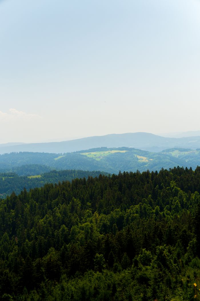 Explore the lush, rolling hills of the Black Forest, capturing summer's vibrant greenery and expansive vistas.